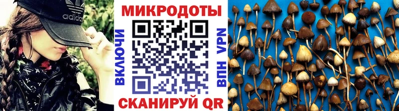 гидра ONION  Белово  Псилоцибиновые грибы Psilocybe  купить наркотики сайты 
