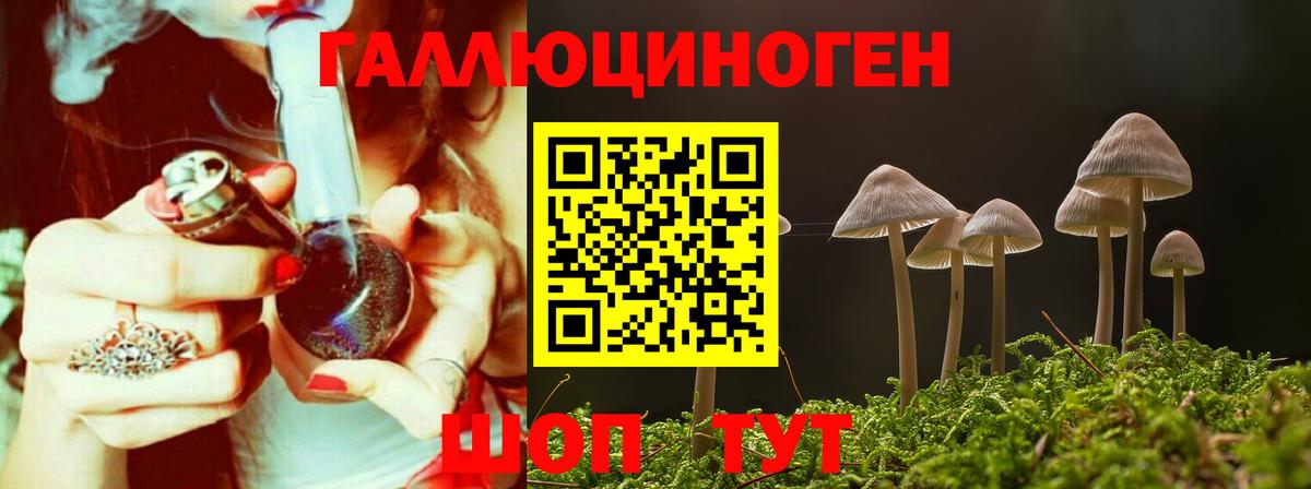 купить   Белово  Галлюциногенные грибы мухоморы 